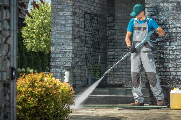 Best Solar Panel Cleaning  in Lynwood, IL