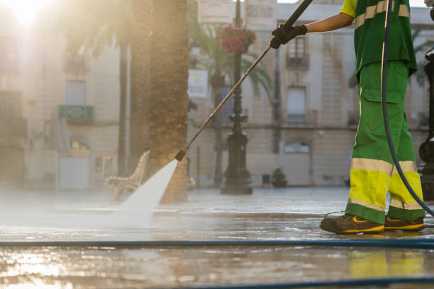 Best Dumpster Area Cleaning  in Lynwood, IL